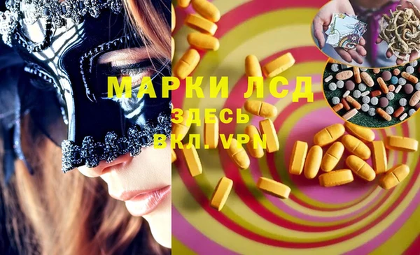 прущие грибы Арсеньев