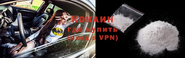прущие грибы Арсеньев