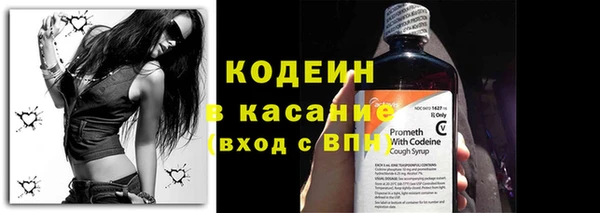 прущие грибы Арсеньев