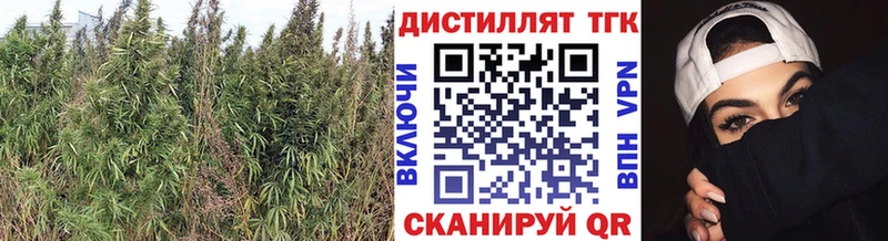 ТГК Wax Пучеж