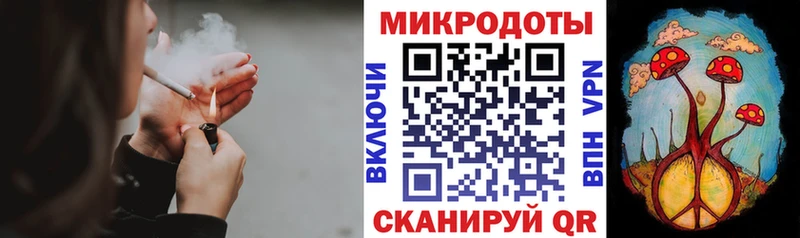 мега ONION  купить закладку  Пучеж  Псилоцибиновые грибы Cubensis 